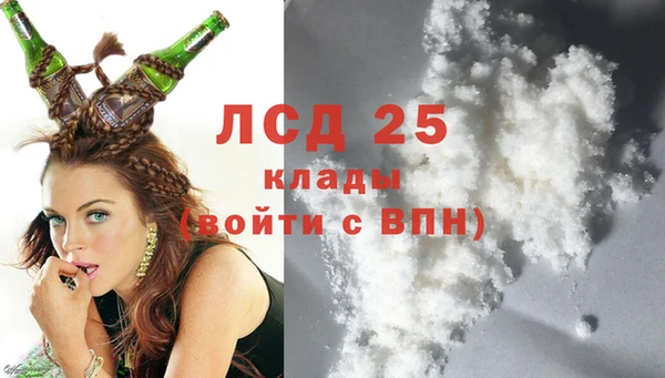 PSILOCYBIN Кирсанов