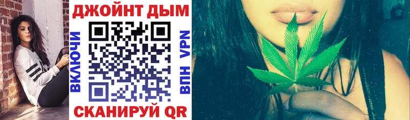 Купить закладки  Оса  Конопля сатива 